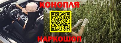 гашик Нальчик