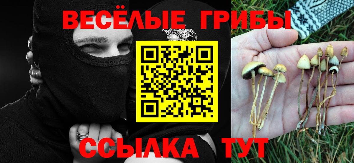 Псилоцибиновые грибы Magic Shrooms Прокопьевск